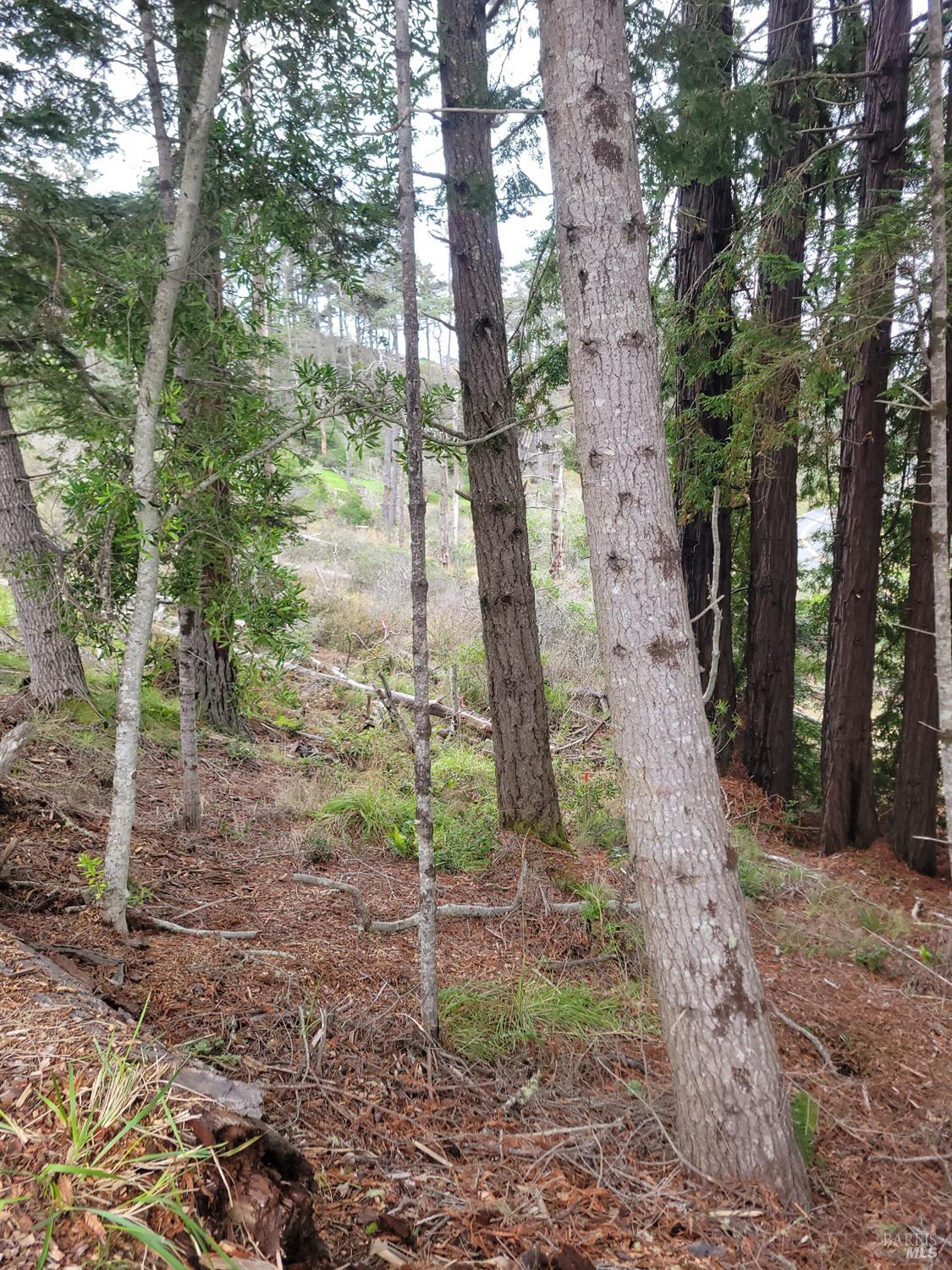 Detail Gallery Image 27 of 28 For 34601 S Highway 1 Unkn, Gualala,  CA 95445 - 0 Beds | 0 Baths