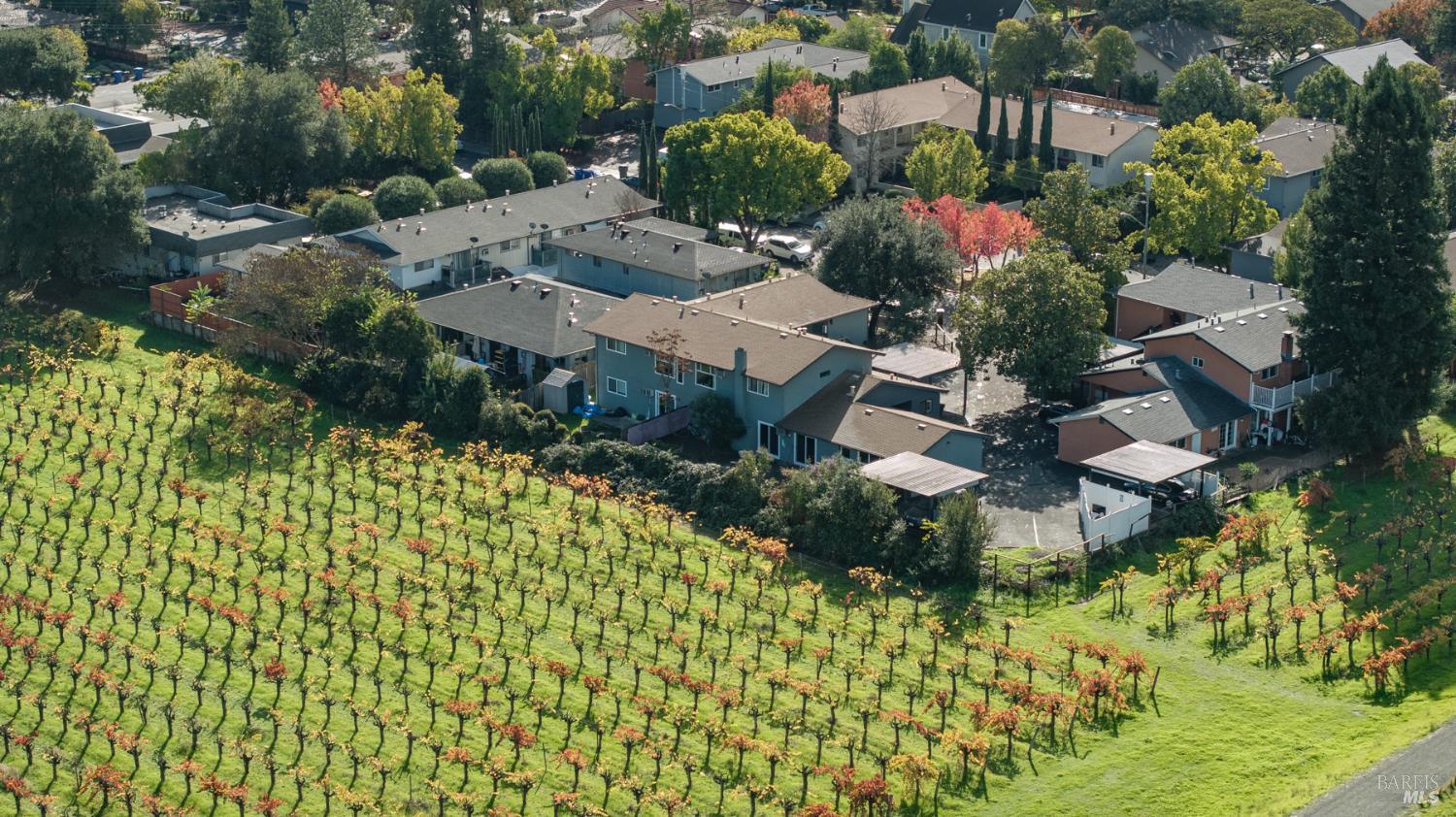 Detail Gallery Image 27 of 30 For 1356 Monte Vista Ave, Saint Helena,  CA 94574 - – Beds | – Baths