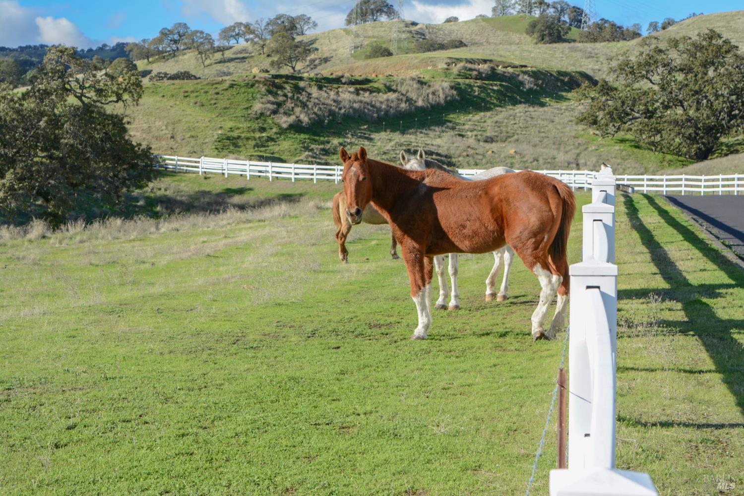 Detail Gallery Image 97 of 99 For 3368 Hidden Valley Ln, Fairfield,  CA 94534 - 4 Beds | 3/1 Baths