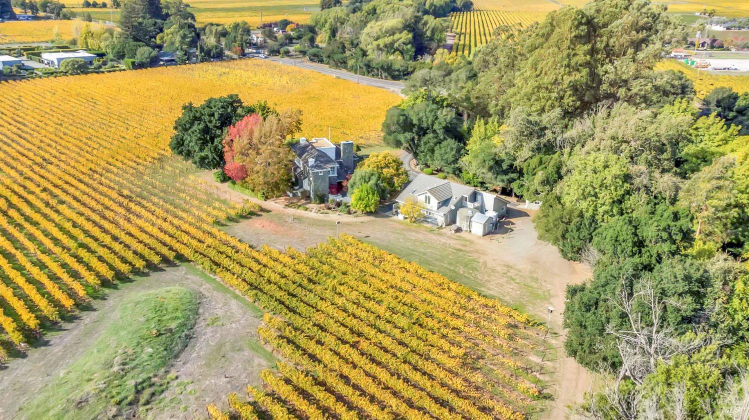 Detail Gallery Image 39 of 47 For 1041 Las Amigas Rd, Napa,  CA 94559 - 4 Beds | 3/2 Baths