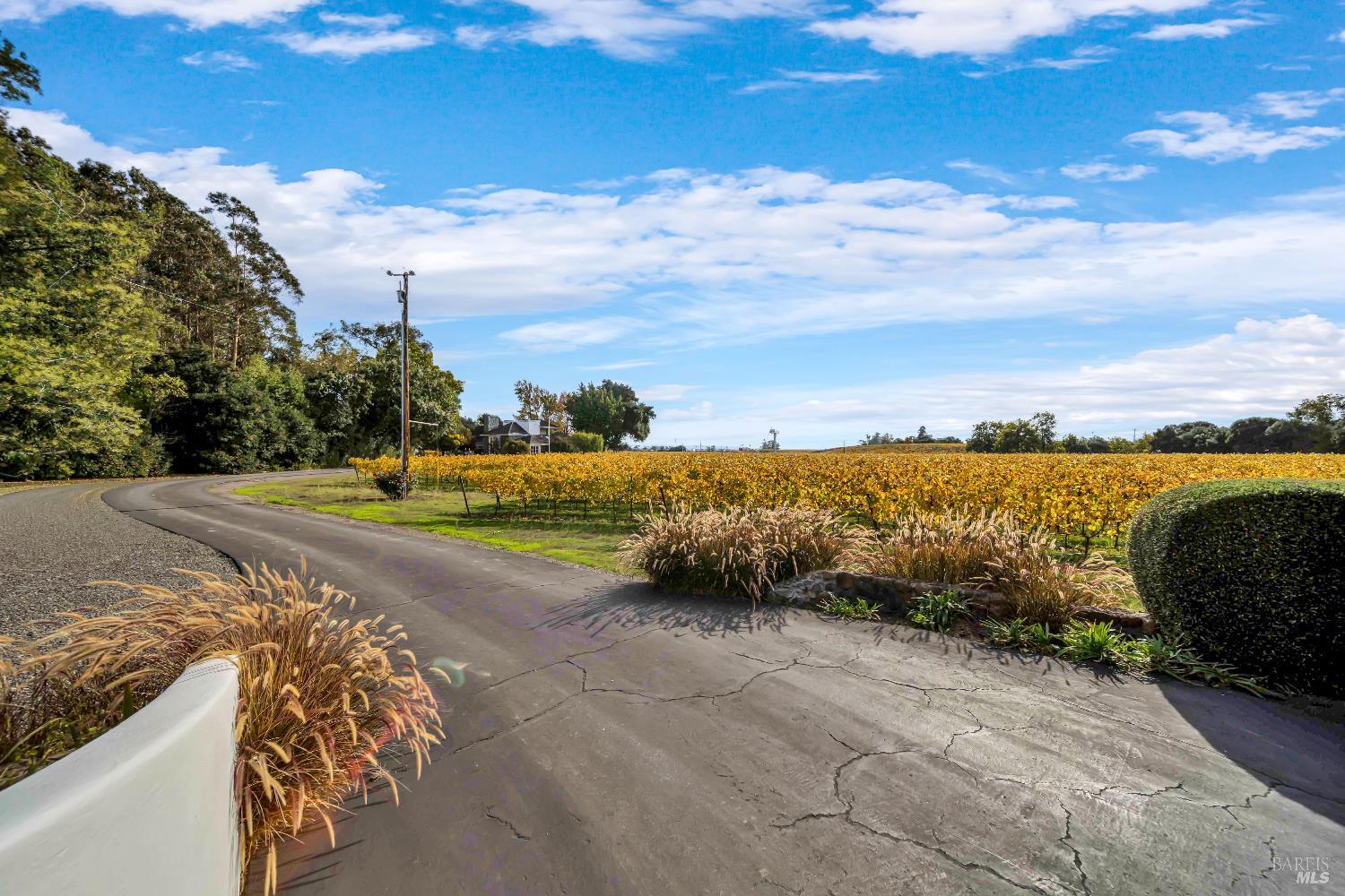 Detail Gallery Image 40 of 47 For 1041 Las Amigas Rd, Napa,  CA 94559 - 4 Beds | 3/2 Baths