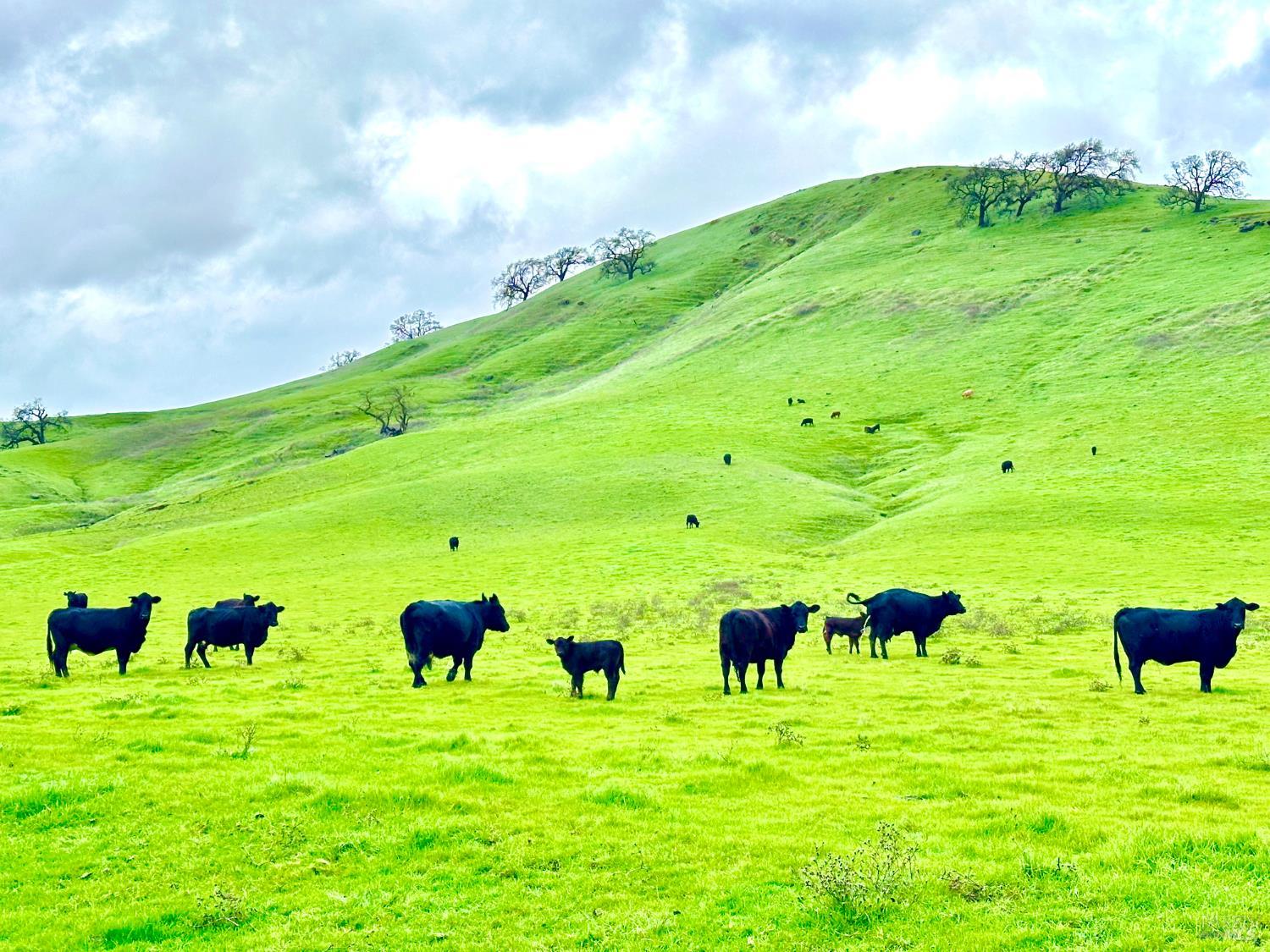 Detail Gallery Image 98 of 99 For 3368 Hidden Valley Ln, Fairfield,  CA 94534 - 4 Beds | 3/1 Baths