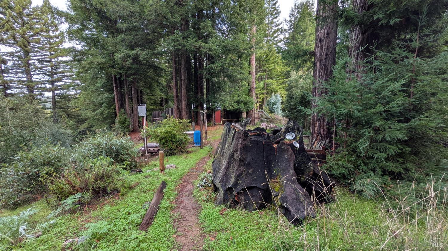 Detail Gallery Image 10 of 15 For 19800 Appaloosa Way, Philo,  CA 95466 - – Beds | – Baths