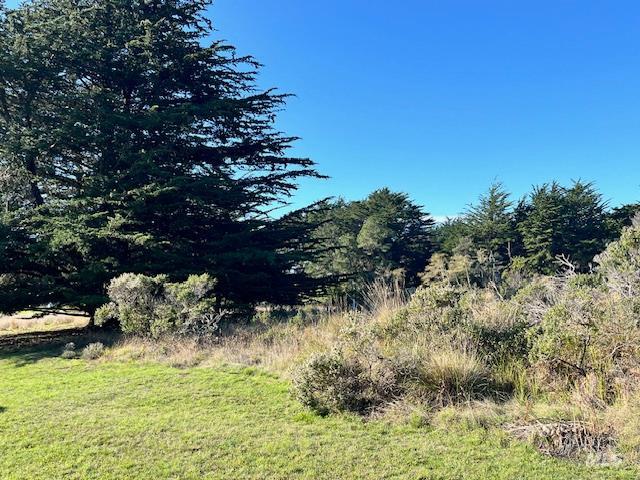 Detail Gallery Image 24 of 24 For 223 Grey Whale Rd, The Sea Ranch,  CA 95497 - 2 Beds | 2 Baths