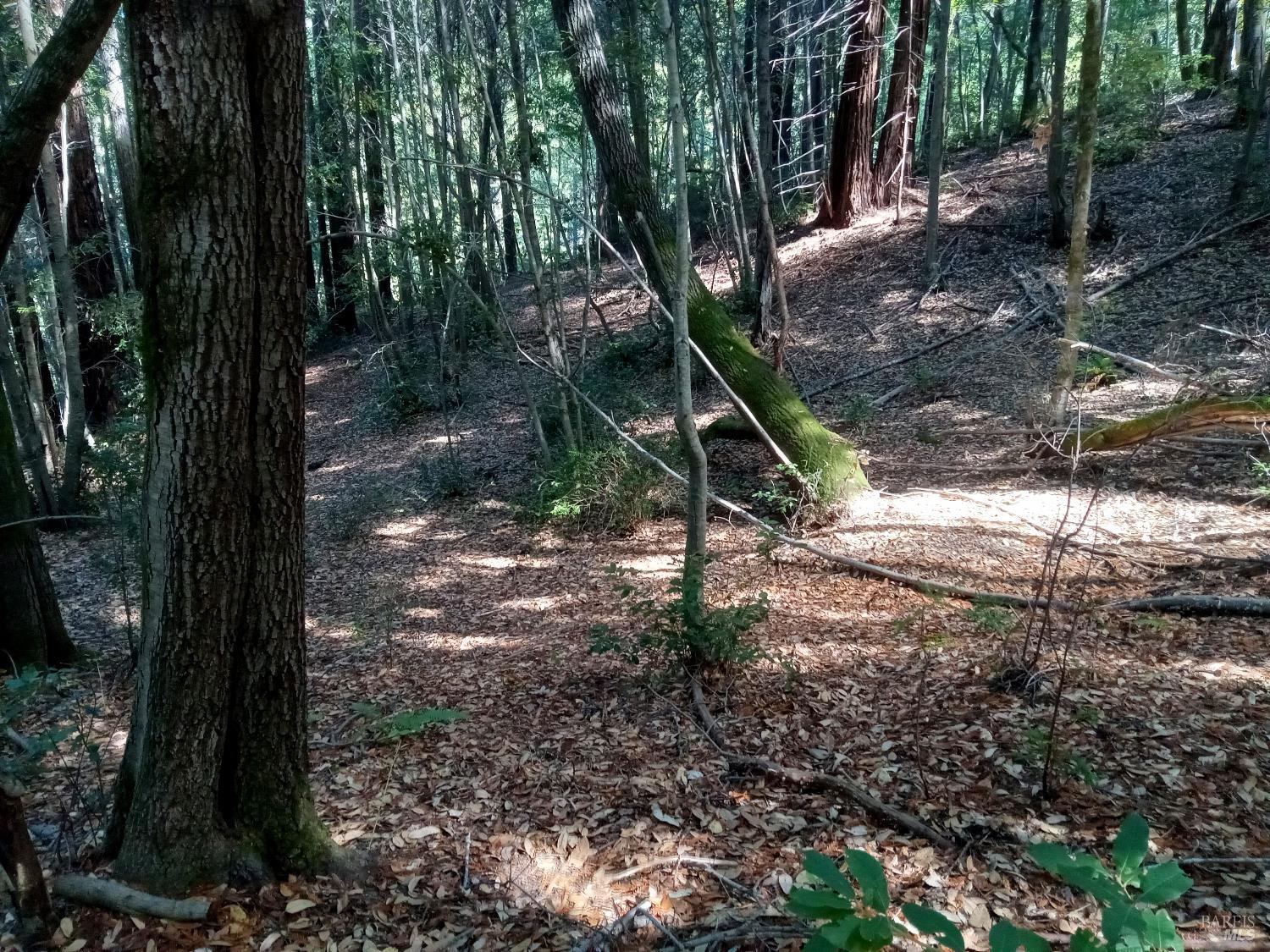 Detail Gallery Image 7 of 15 For 19800 Appaloosa Way, Philo,  CA 95466 - – Beds | – Baths