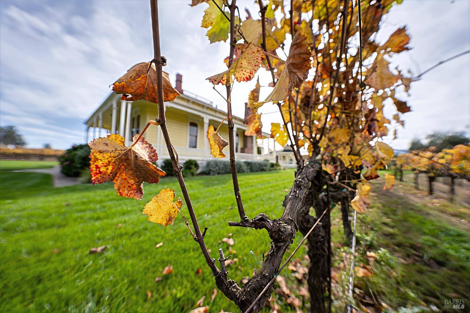 Detail Gallery Image 25 of 64 For 6614 Lakeville Hwy, Petaluma,  CA 94954 - 11 Beds | 15/1 Baths