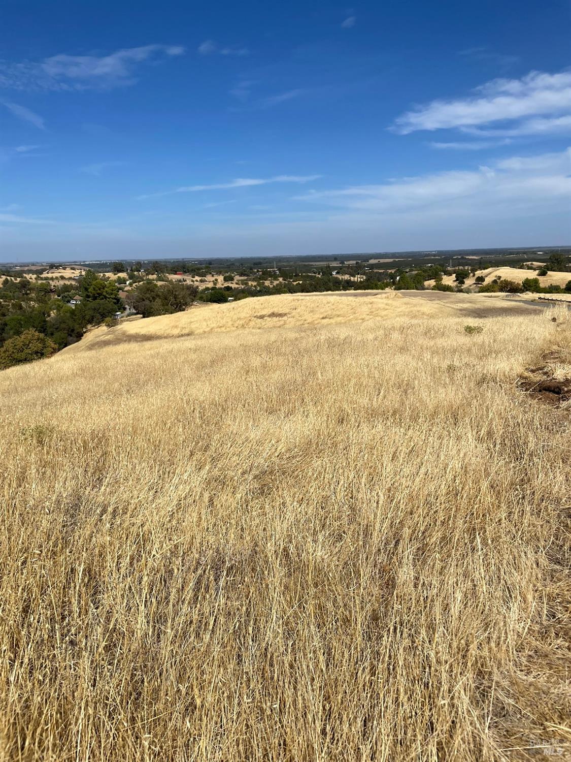 Detail Gallery Image 12 of 22 For 0 Central Ln, Winters,  CA 95616 - – Beds | – Baths