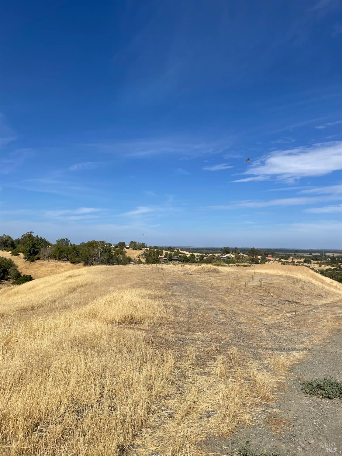 Detail Gallery Image 14 of 22 For 0 Central Ln, Winters,  CA 95616 - – Beds | – Baths