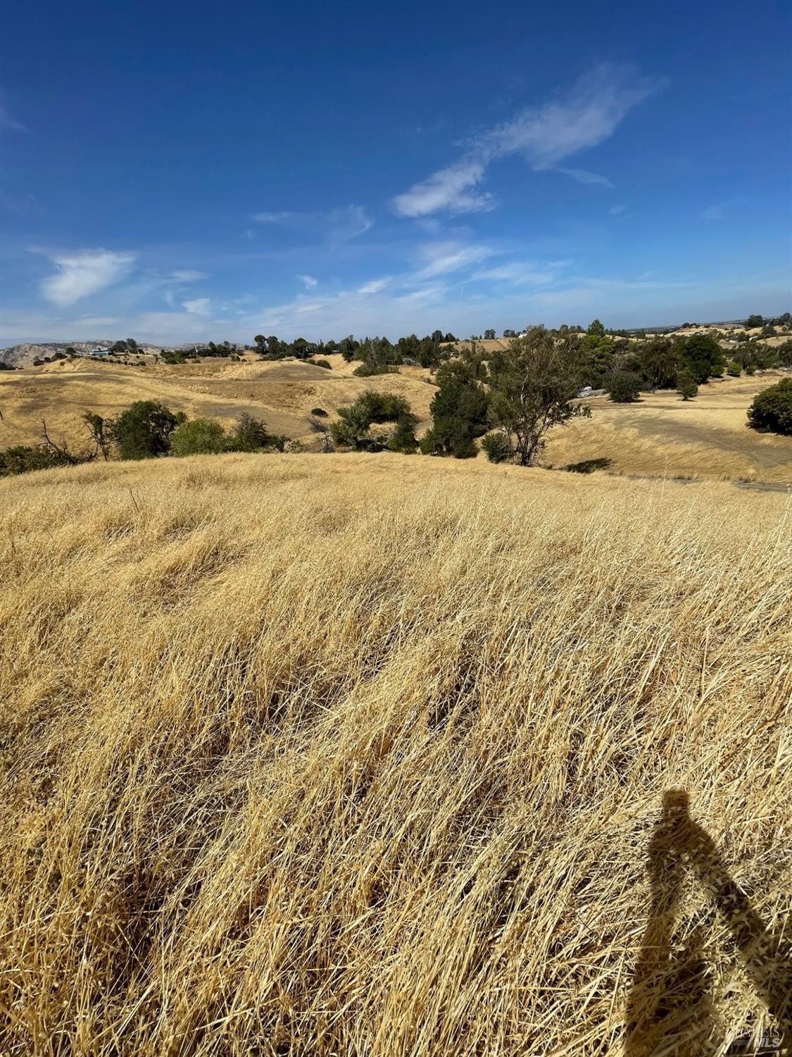 Detail Gallery Image 17 of 22 For 0 Central Ln, Winters,  CA 95616 - – Beds | – Baths