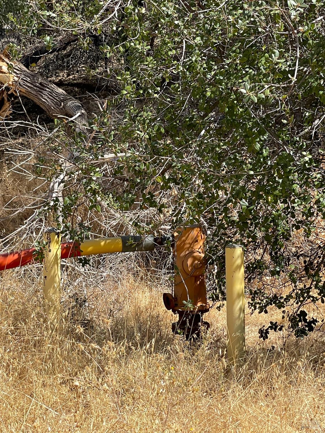 Detail Gallery Image 3 of 22 For 0 Central Ln, Winters,  CA 95616 - – Beds | – Baths