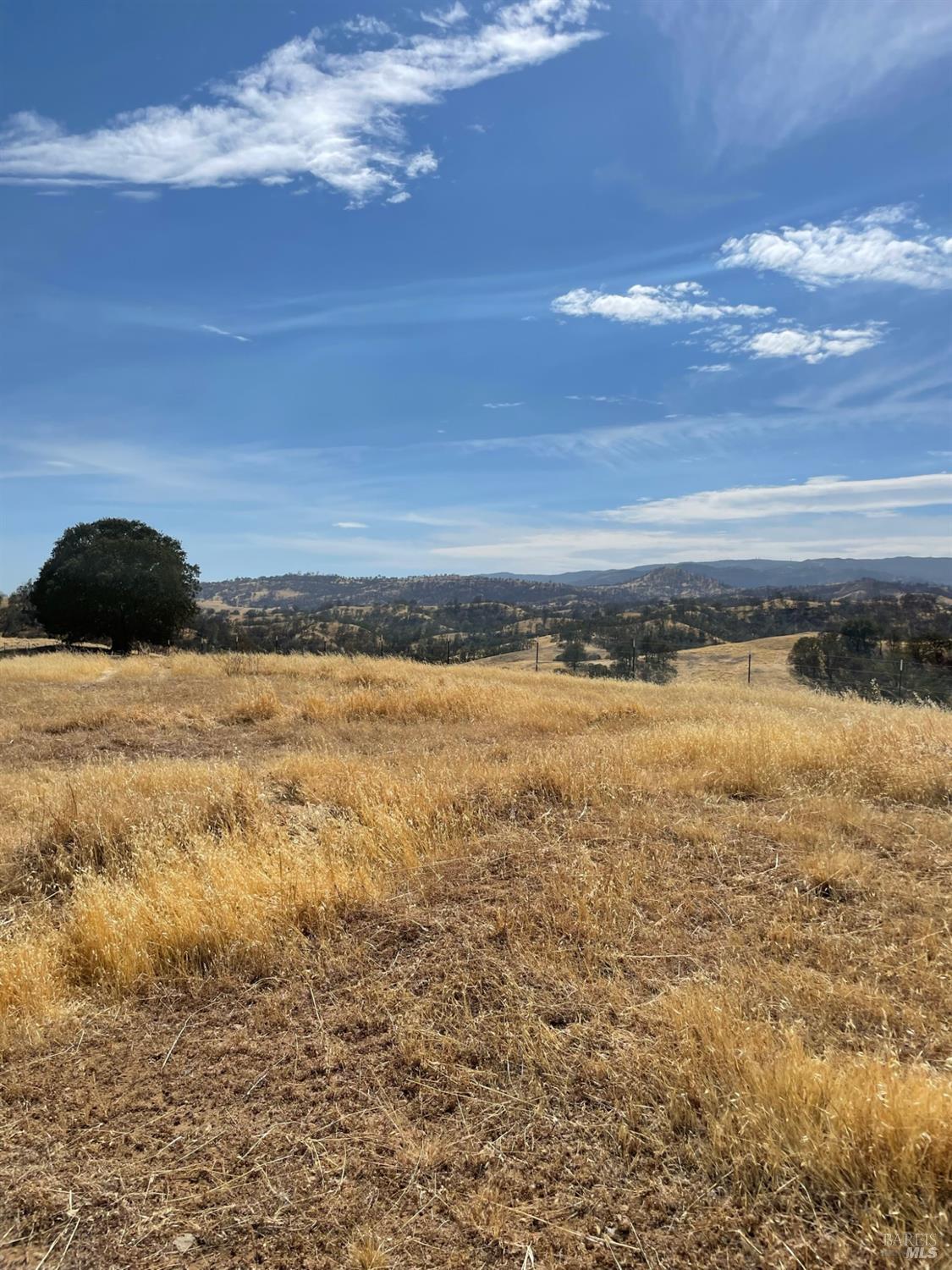 Detail Gallery Image 15 of 22 For 0 Central Ln, Winters,  CA 95616 - – Beds | – Baths