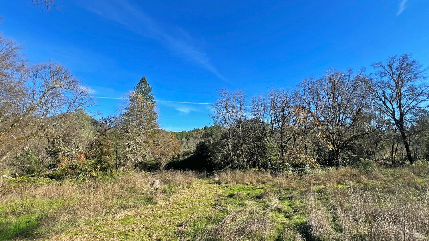 Detail Gallery Image 7 of 11 For 17561 Van Arsdale Rd, Potter Valley,  CA 95469 - – Beds | – Baths