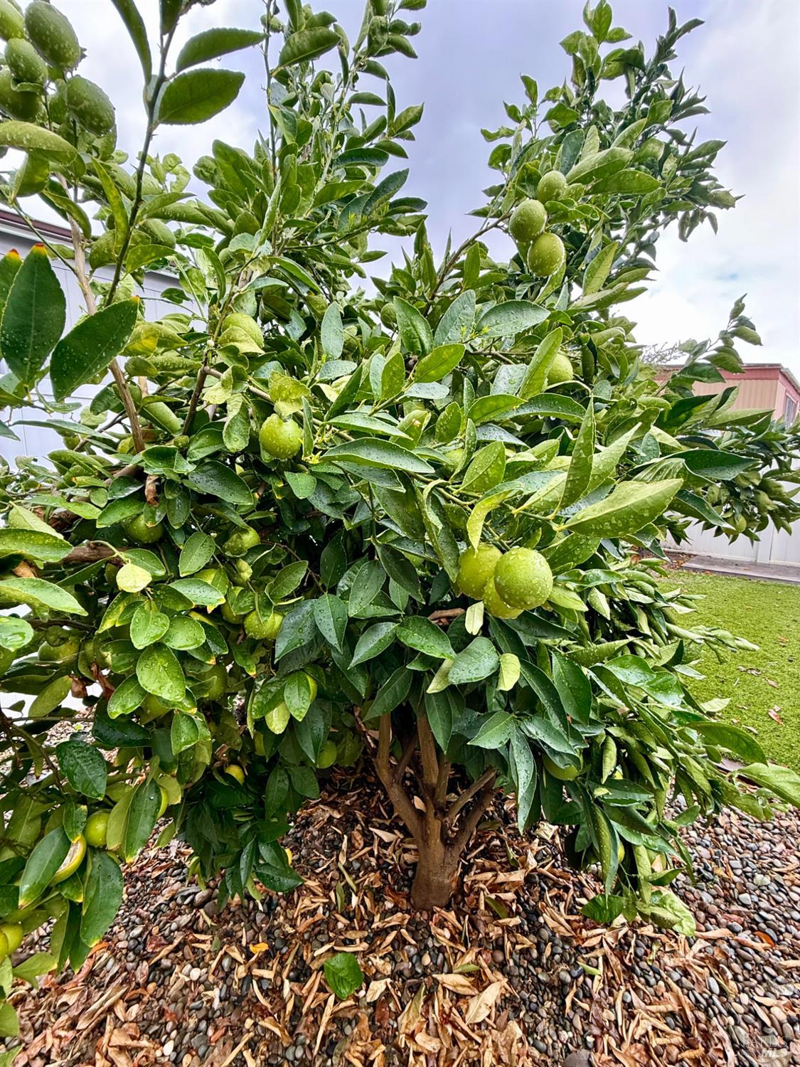 Detail Gallery Image 36 of 38 For 133 Calle Chapultepec Unkn, Vacaville,  CA 95687 - 2 Beds | 2 Baths