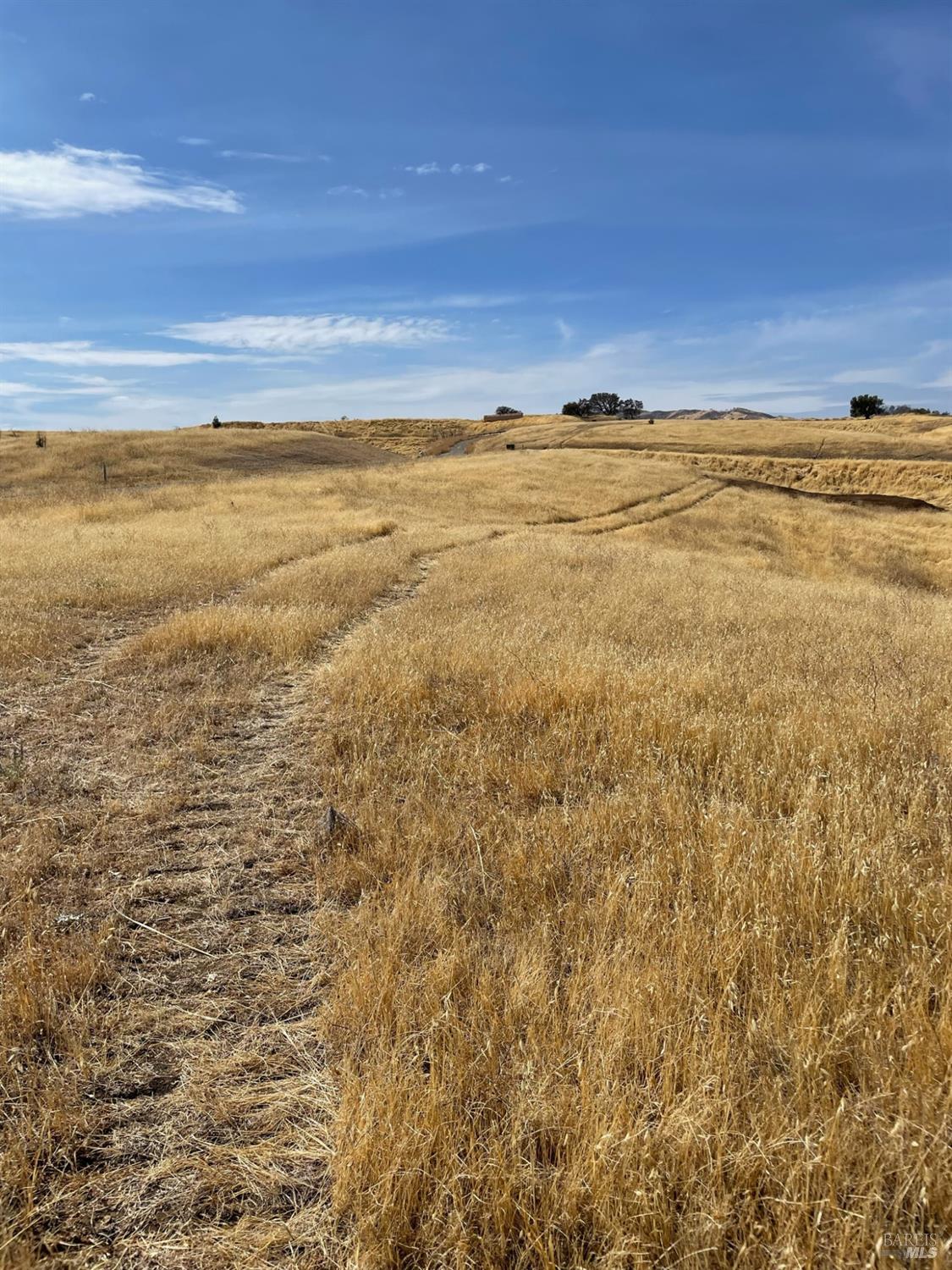 Detail Gallery Image 11 of 22 For 0 Central Ln, Winters,  CA 95616 - – Beds | – Baths