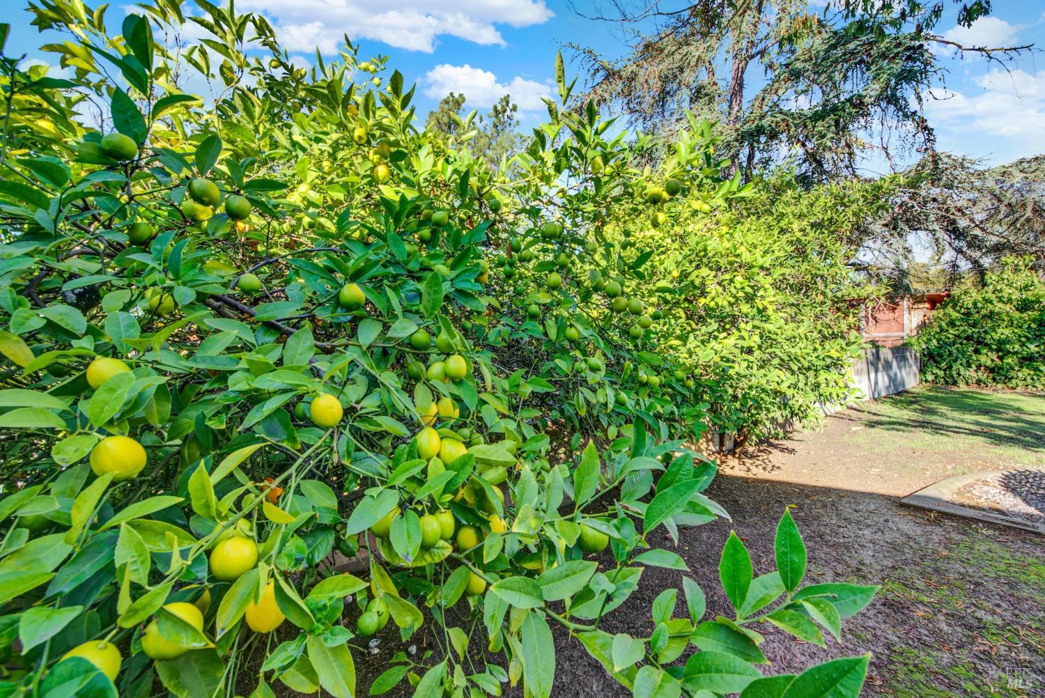 Detail Gallery Image 56 of 56 For 4118 Georgia St, Vallejo,  CA 94591 - 3 Beds | 2 Baths