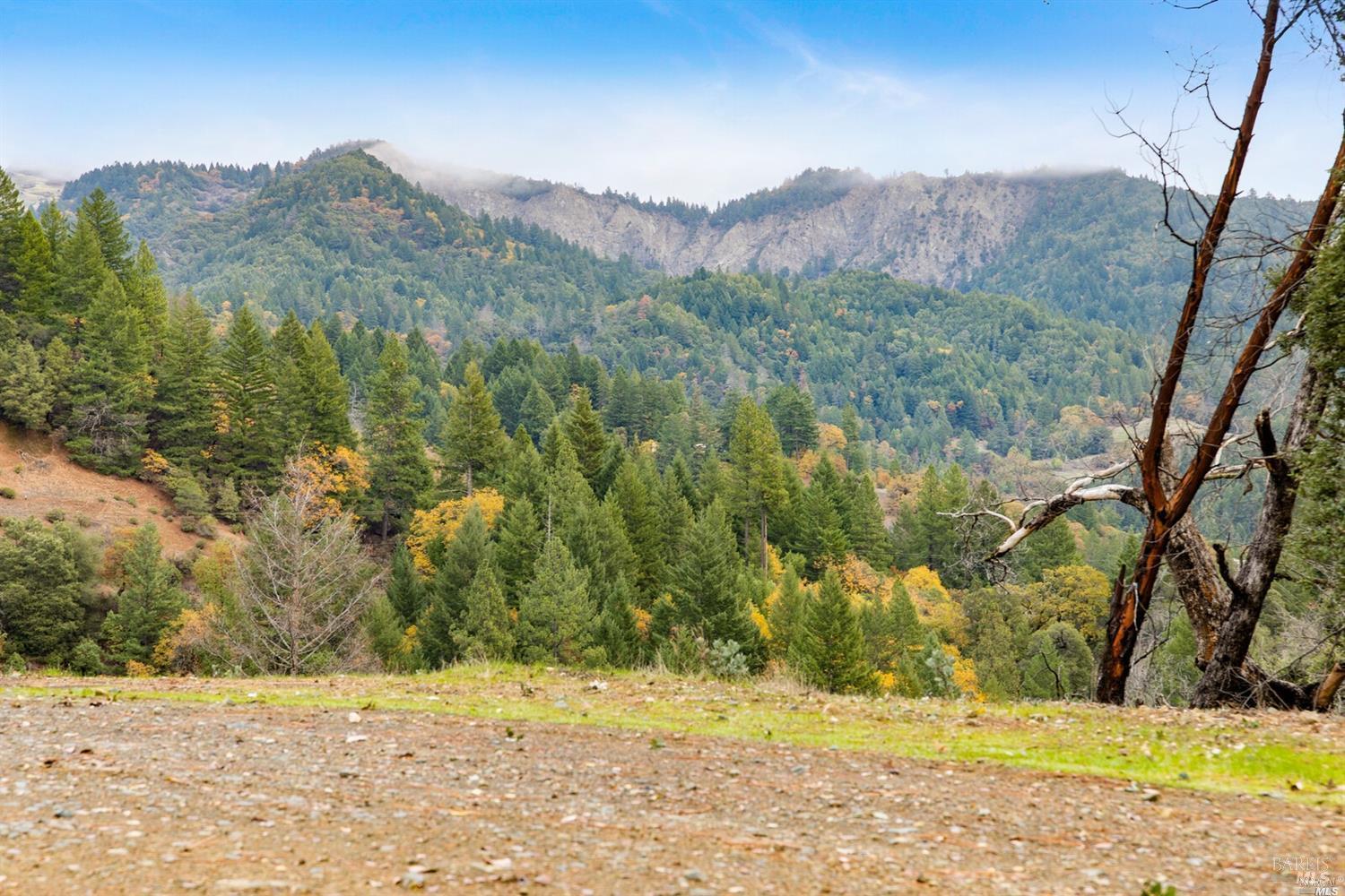 Detail Gallery Image 25 of 30 For 1500 Deer Trail Dr, Laytonville,  CA 95454 - 2 Beds | 2 Baths