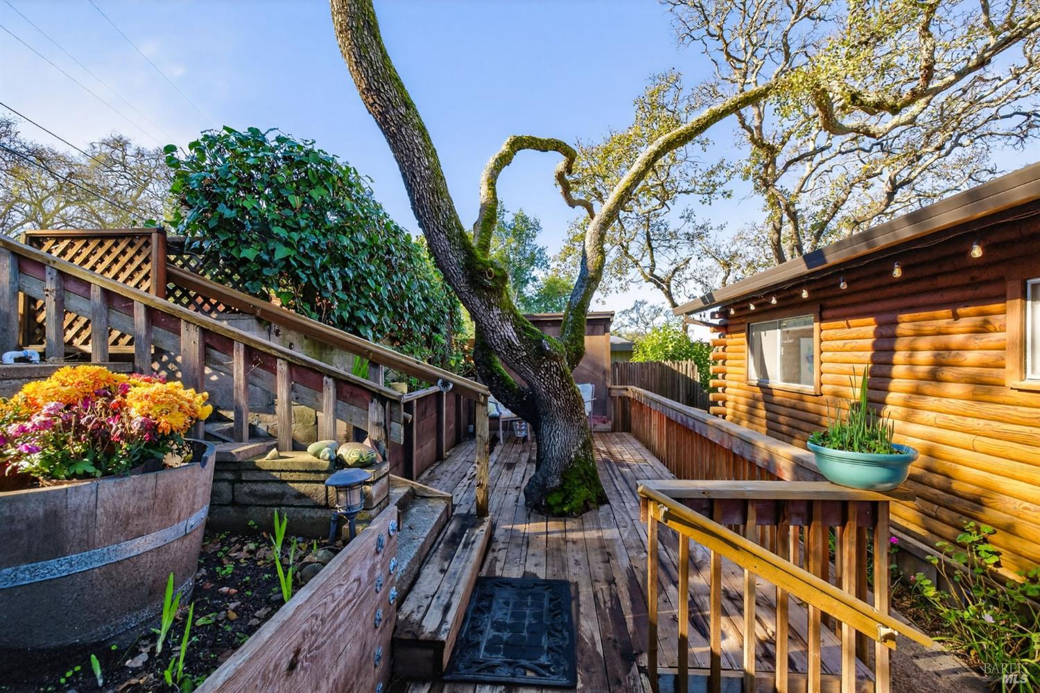 Front Image Thumbnail for BA325100135