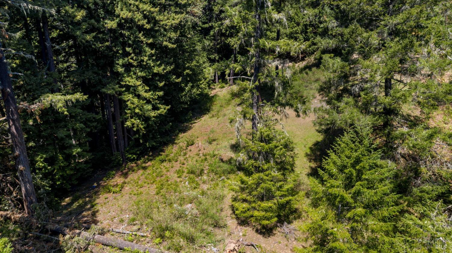 Detail Gallery Image 8 of 8 For 24680 Brooktrails Dr, Willits,  CA 95490 - – Beds | – Baths