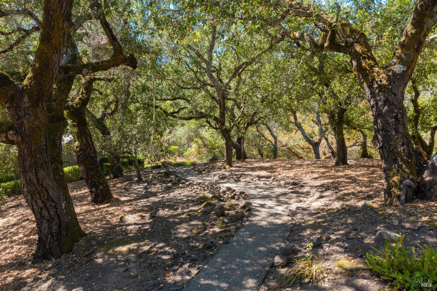 Detail Gallery Image 42 of 62 For 775 White Oak Dr, Santa Rosa,  CA 95409 - 5 Beds | 5/3 Baths