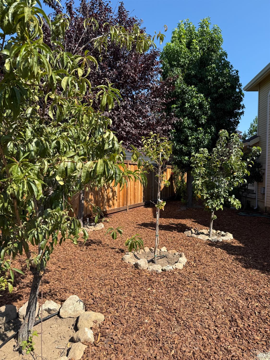 Detail Gallery Image 54 of 57 For 1395 N Grove Ct, Saint Helena,  CA 94574 - 3 Beds | 2/1 Baths