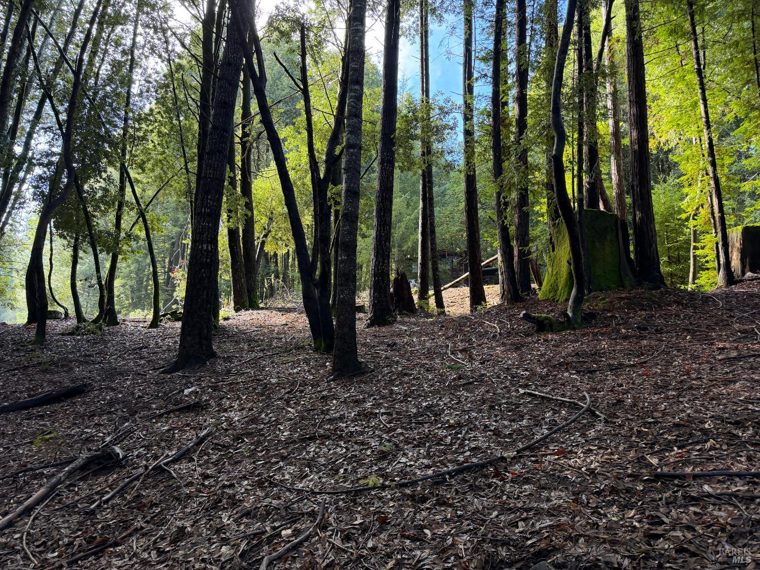 Front Image Thumbnail for BA325099086