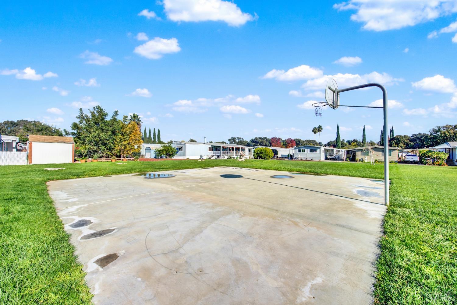 Detail Gallery Image 74 of 78 For 1597 Alamo Dr 175, Vacaville,  CA 95687 - 3 Beds | 2 Baths