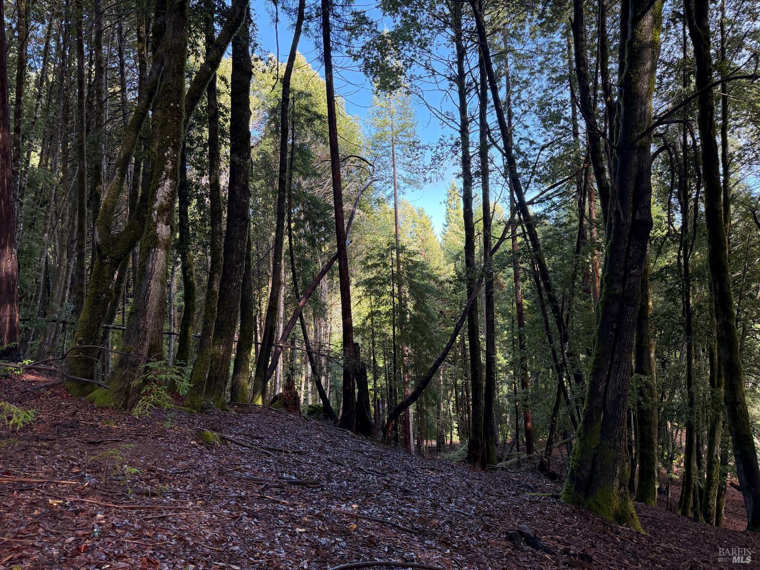 Detail Gallery Image 7 of 9 For 27089 Otter Ct, Willits,  CA 95490 - – Beds | – Baths