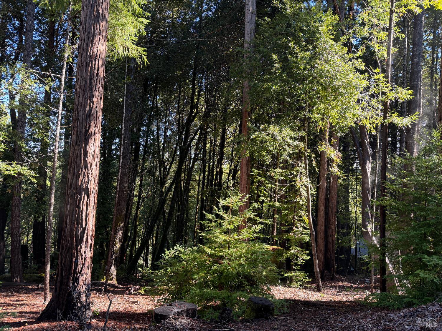 Detail Gallery Image 4 of 9 For 27089 Otter Ct, Willits,  CA 95490 - – Beds | – Baths