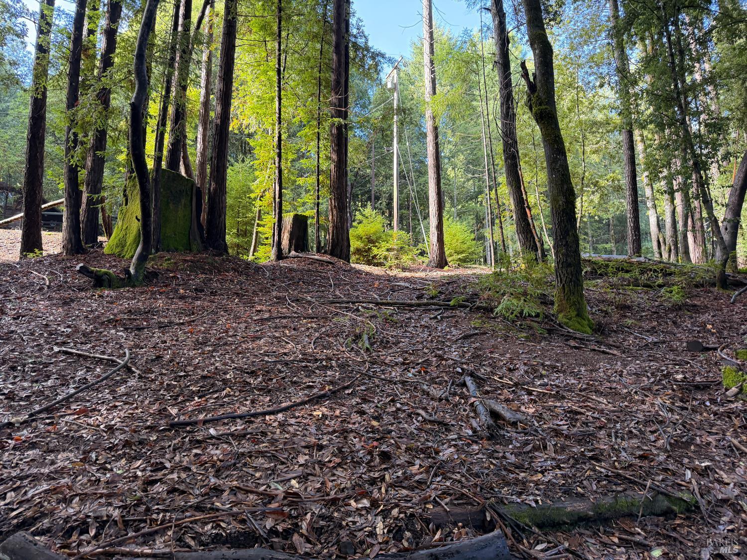 Detail Gallery Image 8 of 9 For 27089 Otter Ct, Willits,  CA 95490 - – Beds | – Baths