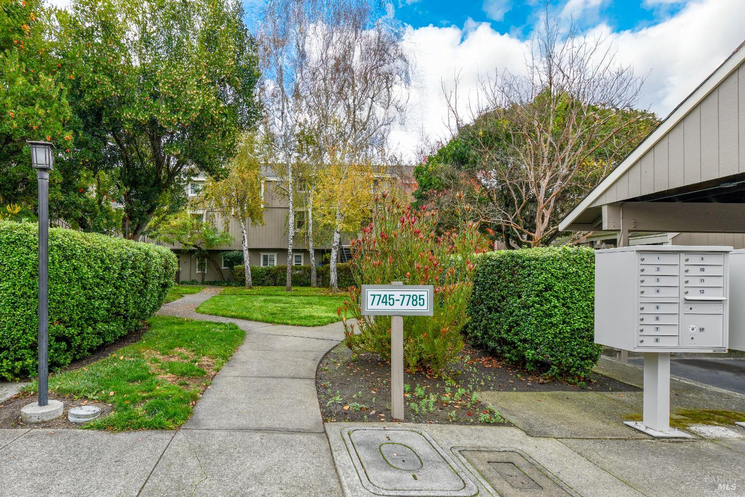 Detail Gallery Image 4 of 26 For 7755 Camino Colegio Dr, Rohnert Park,  CA 94928 - 2 Beds | 2 Baths