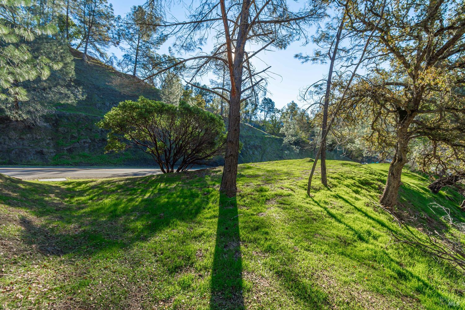 Detail Gallery Image 9 of 9 For 1155 Steele Canyon Rd, Napa,  CA 94558 - – Beds | – Baths