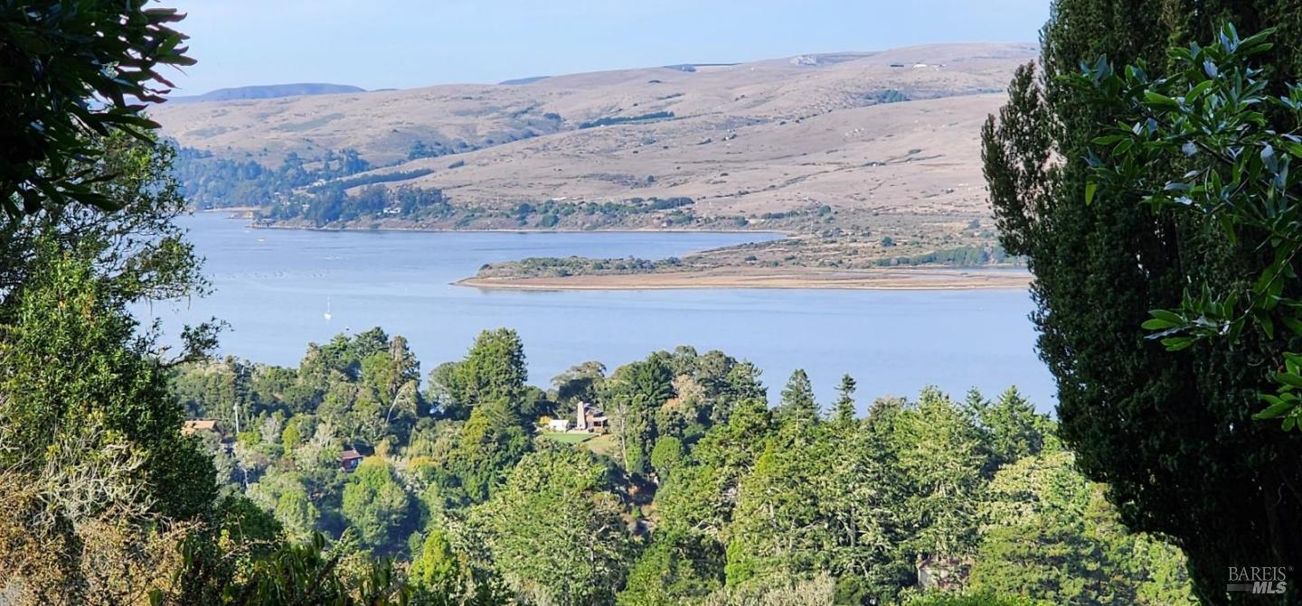 Front Image Thumbnail for BA325100256