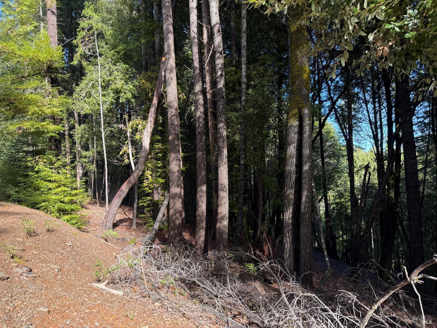 Detail Gallery Image 6 of 9 For 27089 Otter Ct, Willits,  CA 95490 - – Beds | – Baths