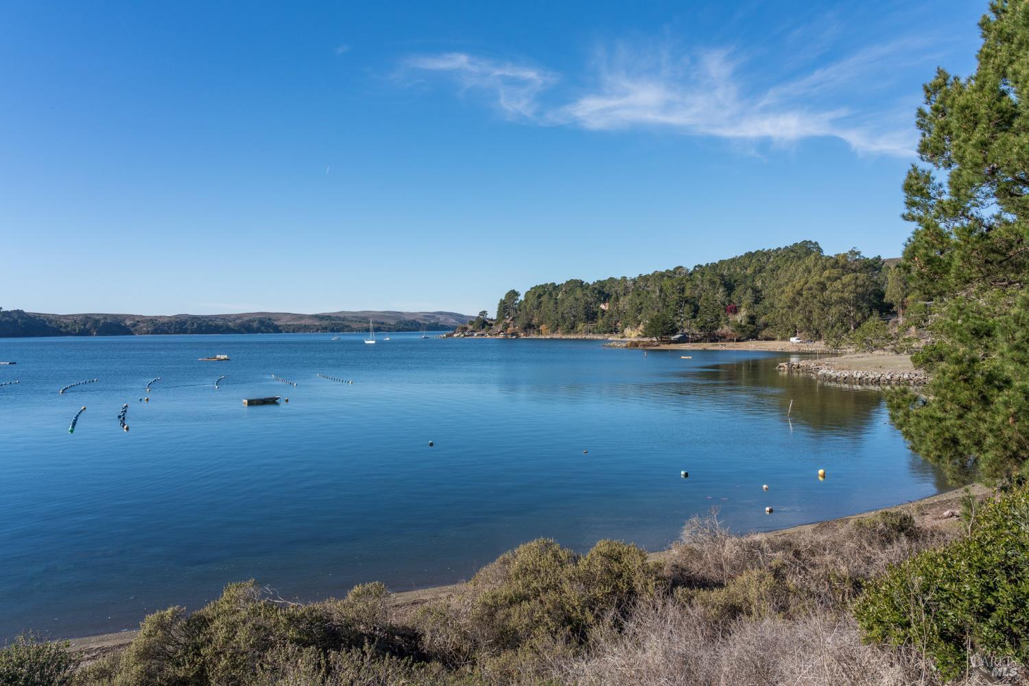 Detail Gallery Image 3 of 8 For 95 Highland Way, Inverness,  CA 94937 - – Beds | – Baths