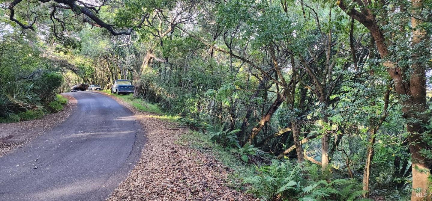 Detail Gallery Image 2 of 8 For 95 Highland Way, Inverness,  CA 94937 - – Beds | – Baths