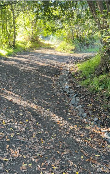 Detail Gallery Image 8 of 8 For 95 Highland Way, Inverness,  CA 94937 - – Beds | – Baths