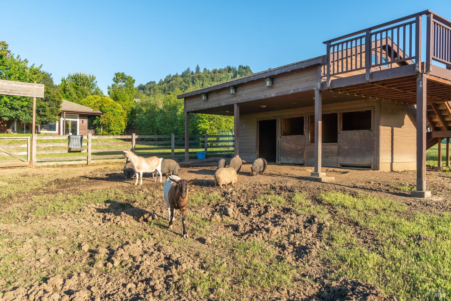 Detail Gallery Image 49 of 51 For 8 Circle Rd, San Rafael,  CA 94903 - – Beds | – Baths