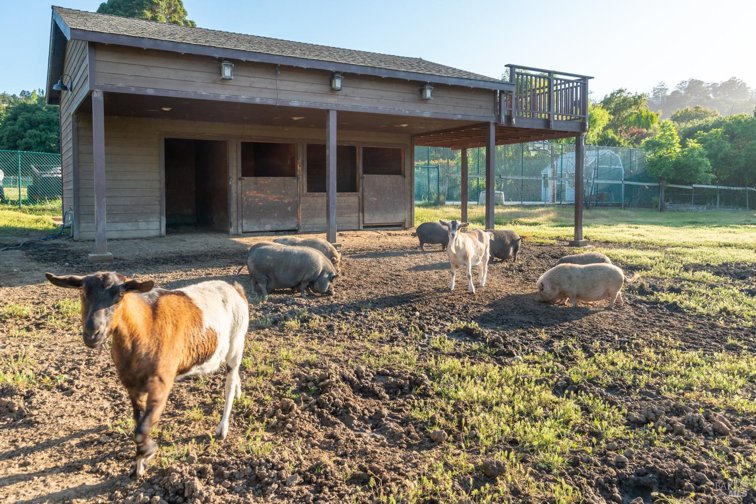 Detail Gallery Image 48 of 51 For 8 Circle Rd, San Rafael,  CA 94903 - – Beds | – Baths