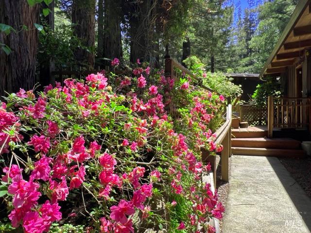 Detail Gallery Image 2 of 29 For 544 Cascade Dr, Mill Valley,  CA 94941 - 4 Beds | 2 Baths