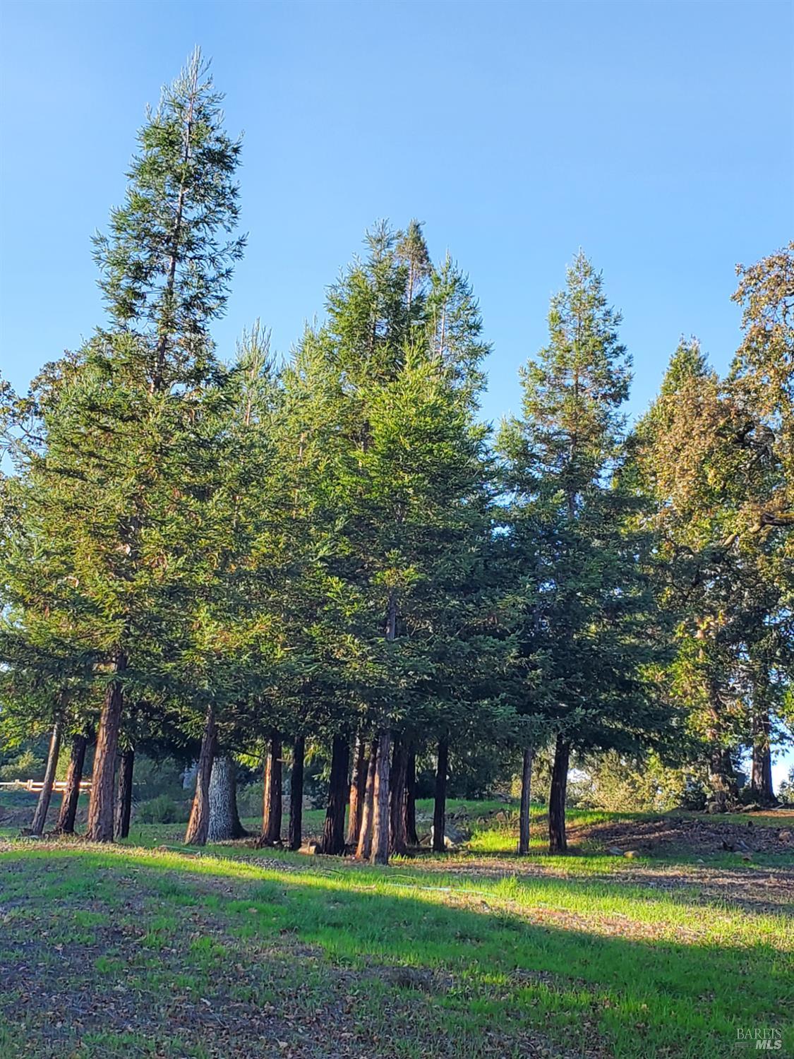 Detail Gallery Image 81 of 92 For 3778 Burke Pl, Sonoma,  CA 95476 - 4 Beds | 2/1 Baths