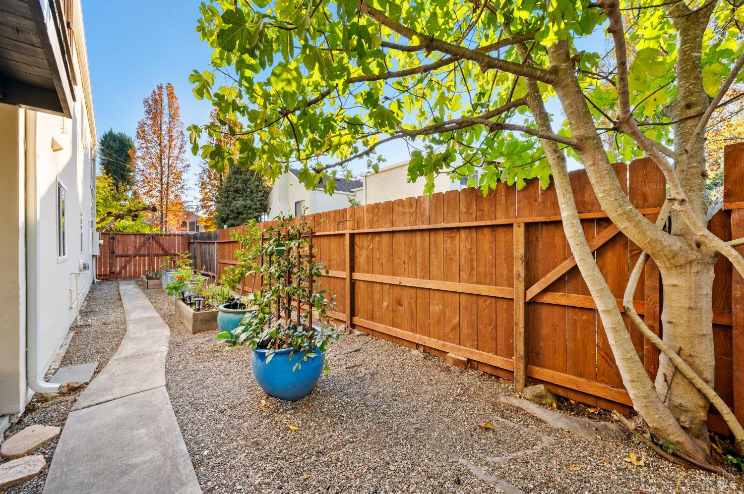 Detail Gallery Image 51 of 63 For 1612 Spruce St, Napa,  CA 94559 - 4 Beds | 3 Baths