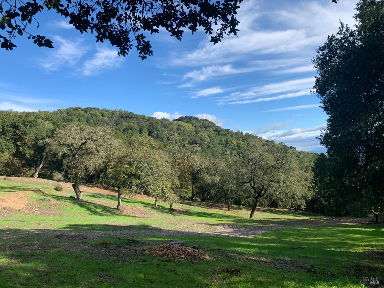 Detail Gallery Image 78 of 92 For 3778 Burke Pl, Sonoma,  CA 95476 - 4 Beds | 2/1 Baths