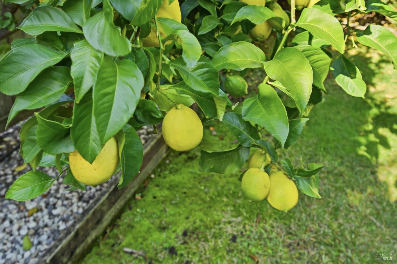 Detail Gallery Image 21 of 53 For 28 S Newport Dr, Napa,  CA 94559 - 5 Beds | 3 Baths