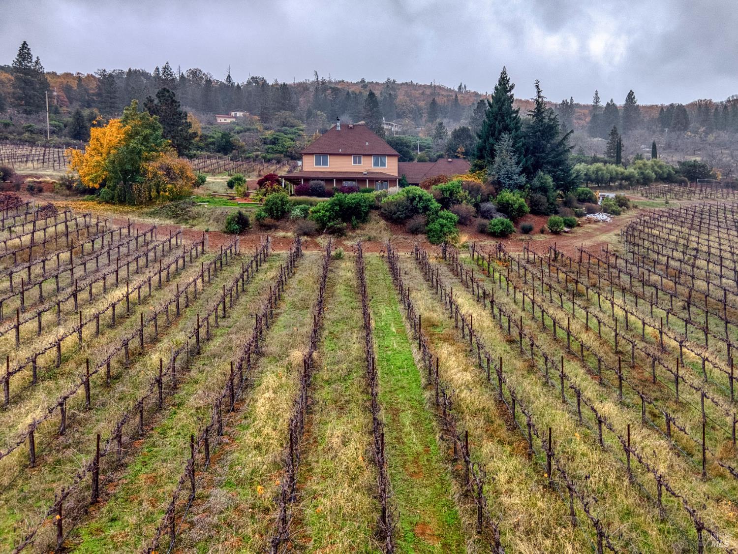 Detail Gallery Image 33 of 87 For 8664 Seigler Springs North Rd, Kelseyville,  CA 95451 - 5 Beds | 5/2 Baths