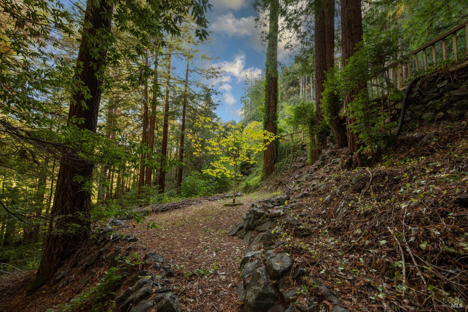 Detail Gallery Image 10 of 77 For 11 Huckleberry Hts, Cazadero,  CA 95421 - 2 Beds | 3 Baths