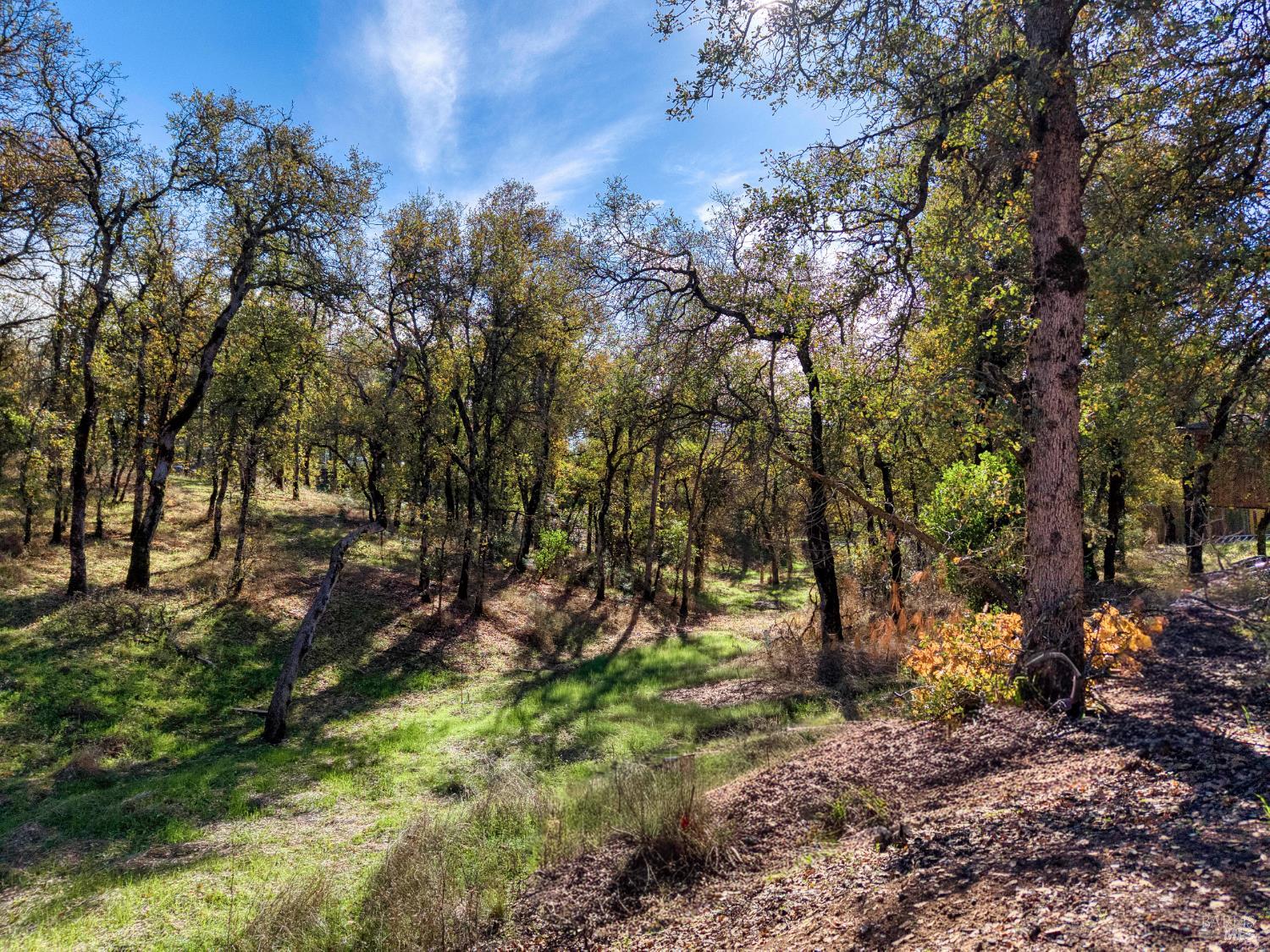 Detail Gallery Image 19 of 37 For 16055 29th Ave, Clearlake,  CA 95422 - 3 Beds | 2/1 Baths