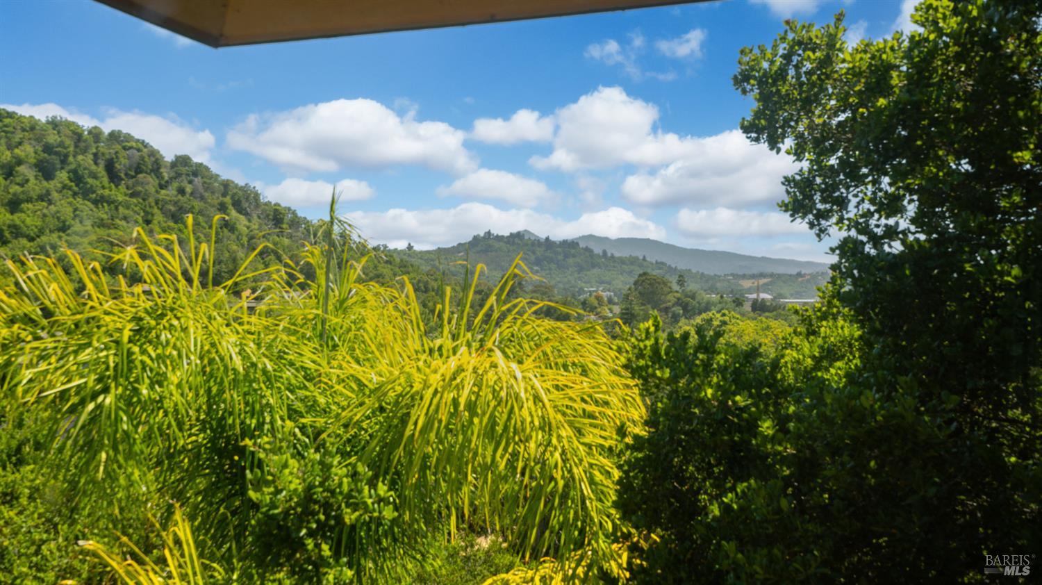 Detail Gallery Image 52 of 74 For 6 Leona Dr, San Rafael,  CA 94903 - 4 Beds | 3/1 Baths