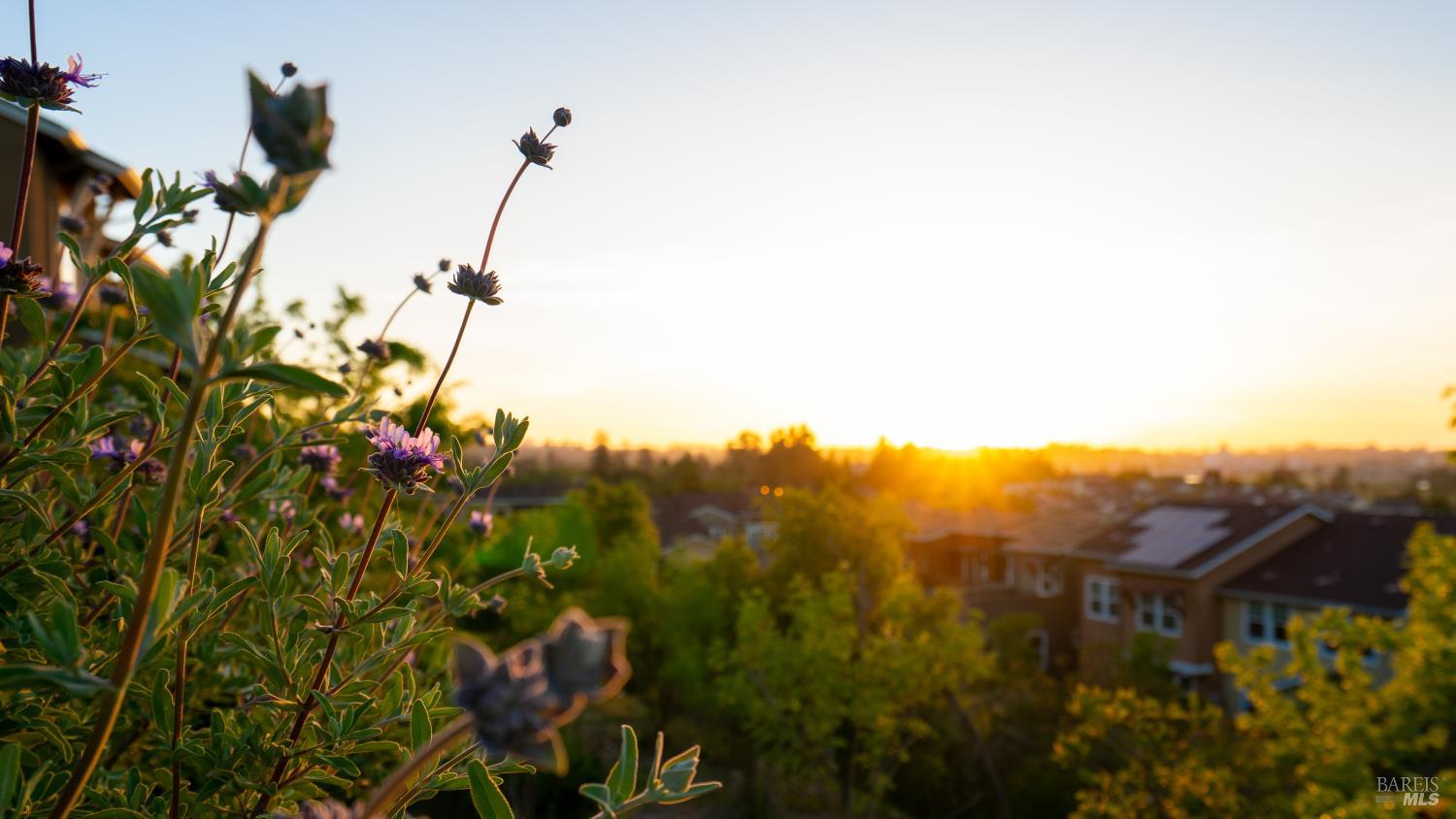 Detail Gallery Image 50 of 64 For 530 Jade St, Petaluma,  CA 94952 - 2 Beds | 2/1 Baths