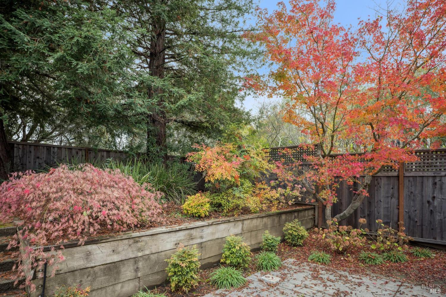 Detail Gallery Image 39 of 42 For 295 Stuyvesant Dr, San Anselmo,  CA 94960 - 4 Beds | 2/1 Baths