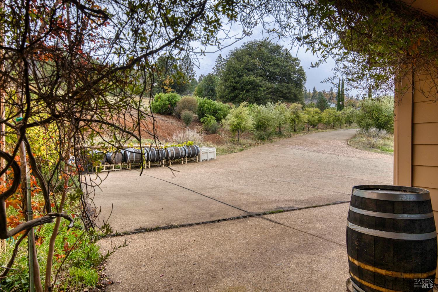 Detail Gallery Image 18 of 87 For 8664 Seigler Springs North Rd, Kelseyville,  CA 95451 - 5 Beds | 5/2 Baths